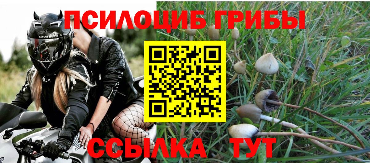 Галлюциногенные грибы MAGIC MUSHROOMS  Вход с VPN  где купить наркоту  Краснодар 