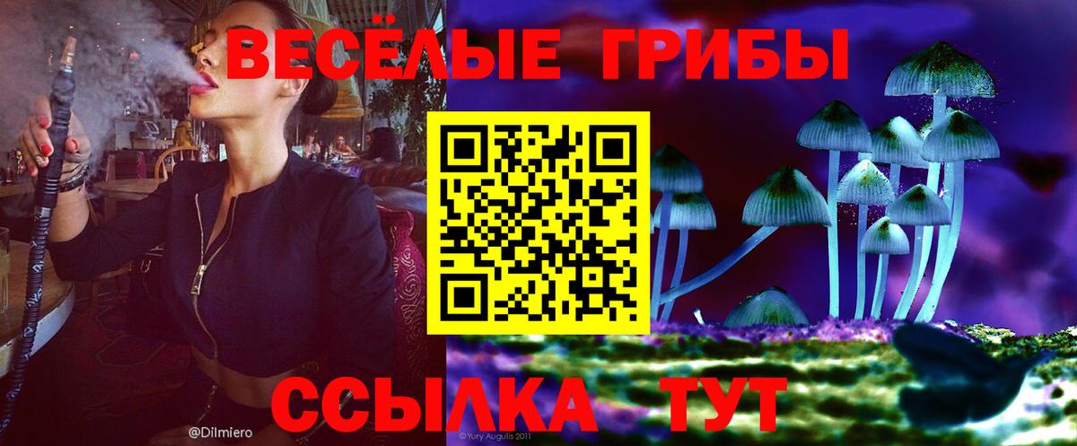 Галлюциногенные грибы Magic Shrooms Краснодар